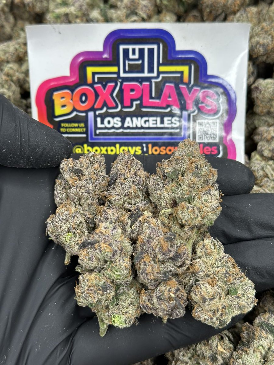 PHANTOM RUNTZ $1,400
+1 (530) 448-8294 📲
<a href="/boxplays_la/">Box Plays LA</a>