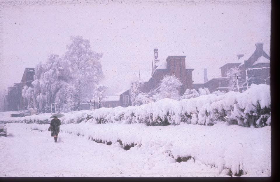 MTW NHS Hospital Archives tweet media