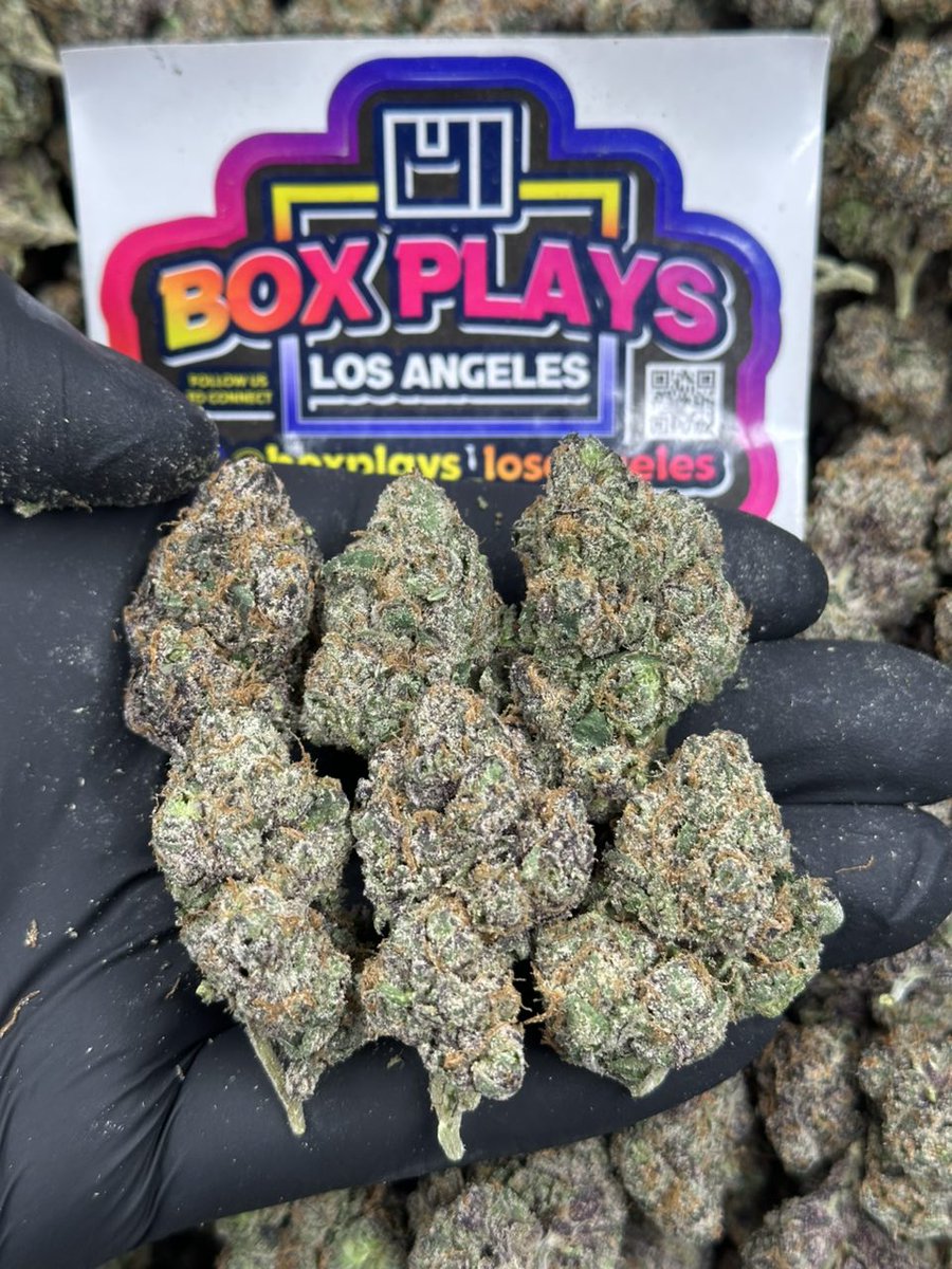 VOODO RUNTZ $1,450
+1 (530) 448-8294 📲
<a href="/boxplays_la/">Box Plays LA</a>