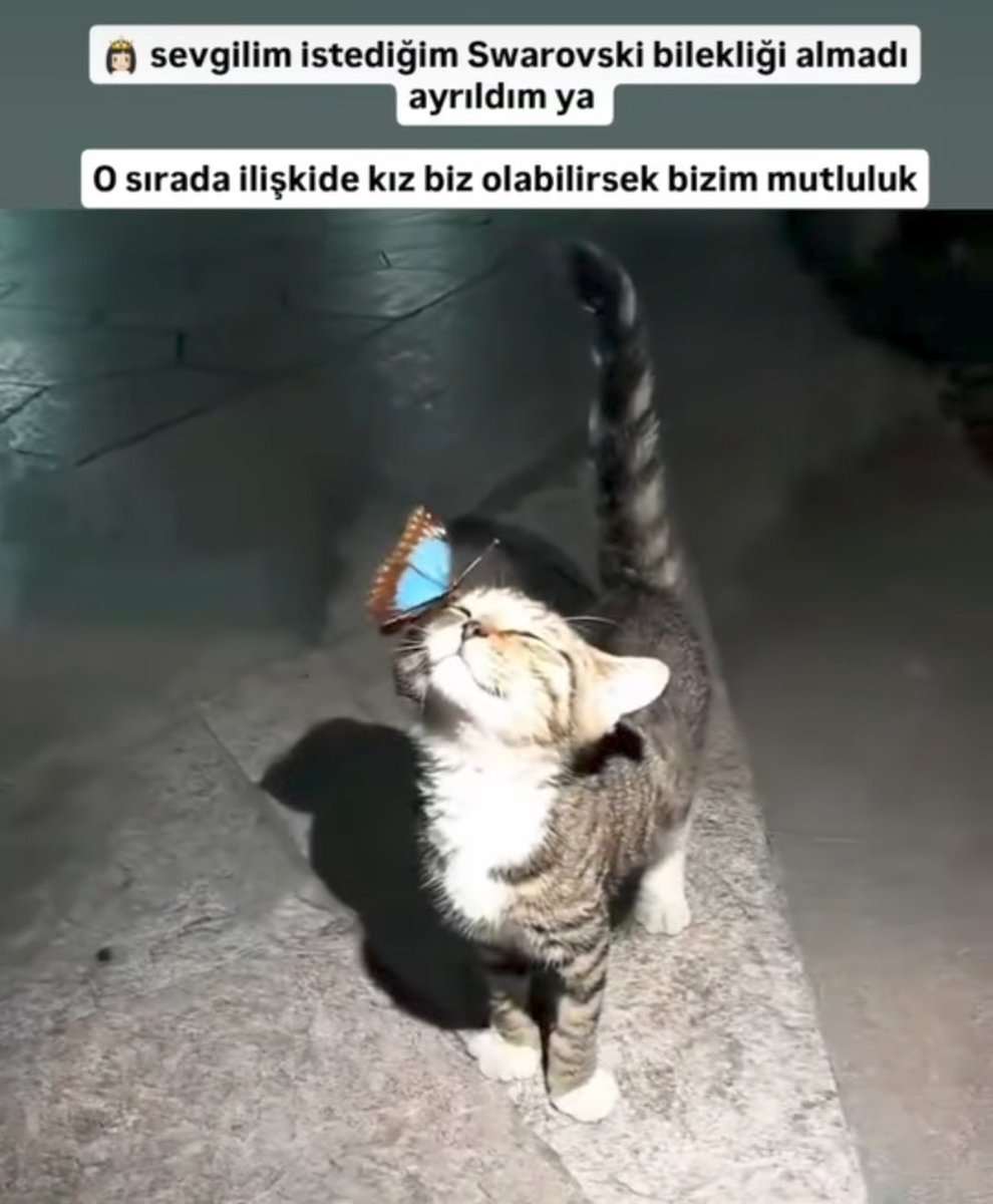 Özlem (@ozleeminizz) on Twitter photo 