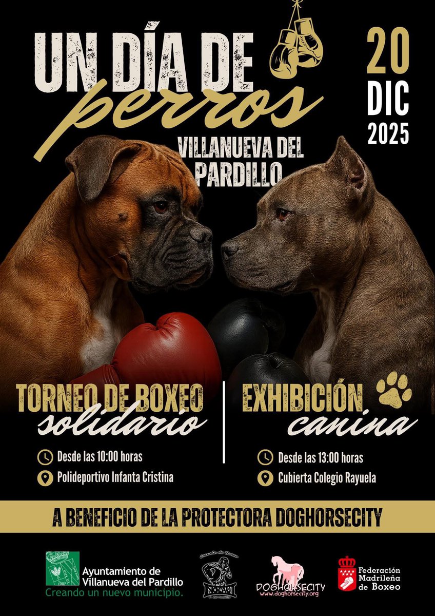 🥊🐶 ARRANCA HOY “UN DÍA DE PERROS” EN VILLANUEVA DEL PARDILLO

👉🏼 Jornada solidaria con boxeo federado (FMB) y exhibición canina, con recaudación destinada a la protectora Doghorsecity.

🥊 Boxeo: 10:00 · Polideportivo Infanta Cristina
🐾 Exhibición: 13:00 · Colegio Rayuela