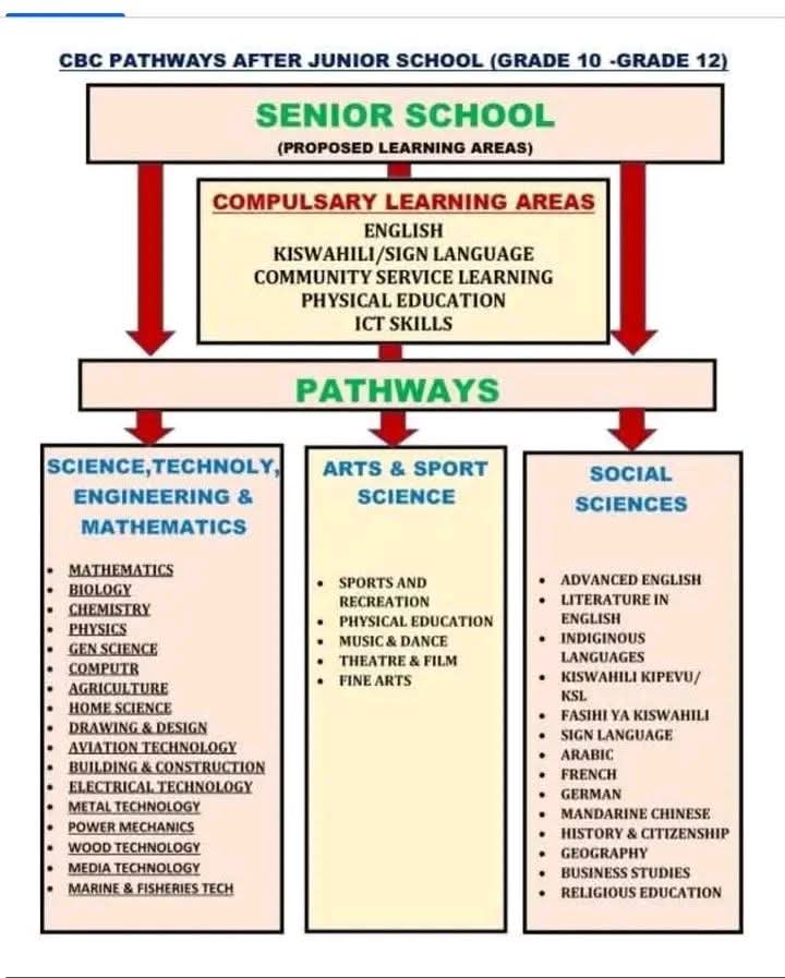 Kenya 🇰🇪 Education Paths, 
Geospatial Engineering (UoN and TuK), Land Surveying (TVET), GIS (Most Universities), ICT/GIS (Maseno), Geomatics (JKUAT and DeKut), Geoinformatics (Taita Taveta), Cartography (TVET), Photogrammetry and Remote Sensing (TVET), and All "Spatial doings"
