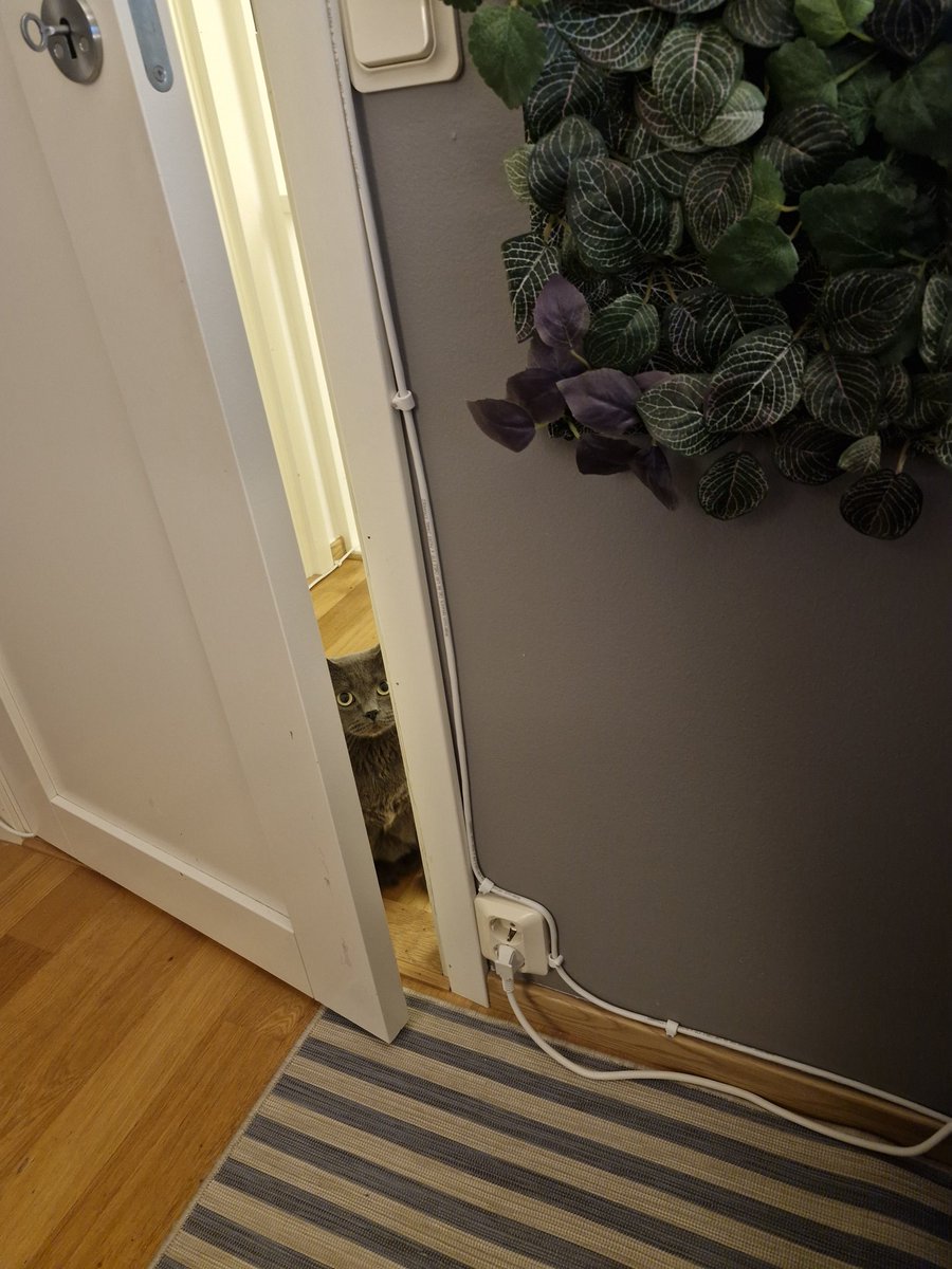 What could bro POSSIBLY want