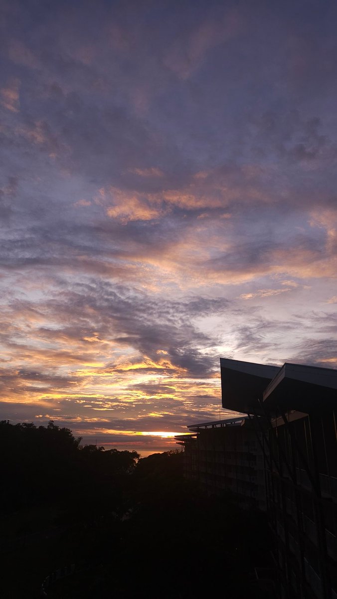 MangoThey's tweet image. it's nice out here where I am right now...