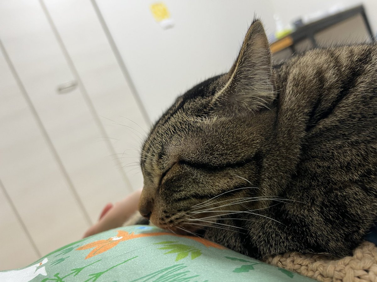 EMI@z (@EMI_ebi10) / Posts / X