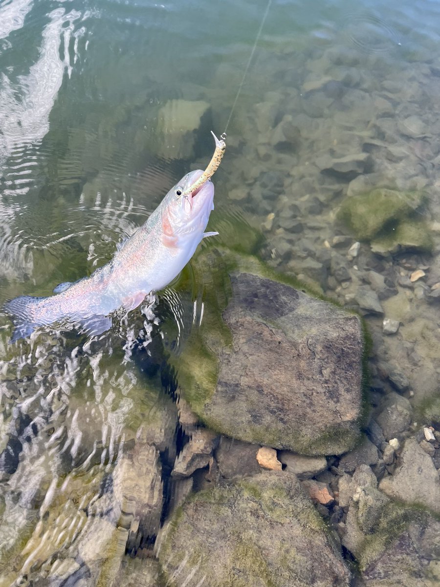 よったん (@yottanntann) / Posts / X