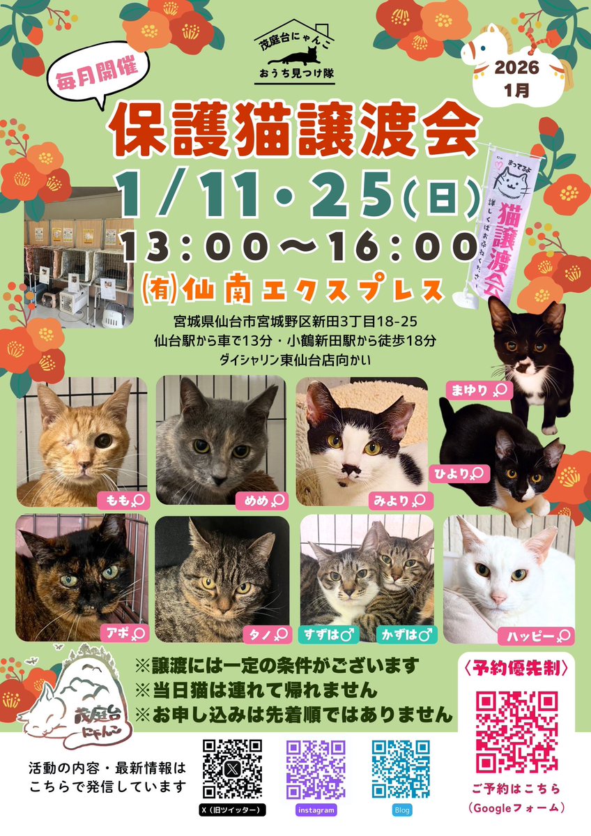 今回もきびのあやとらさん @kibinoayatra に作っていただきました