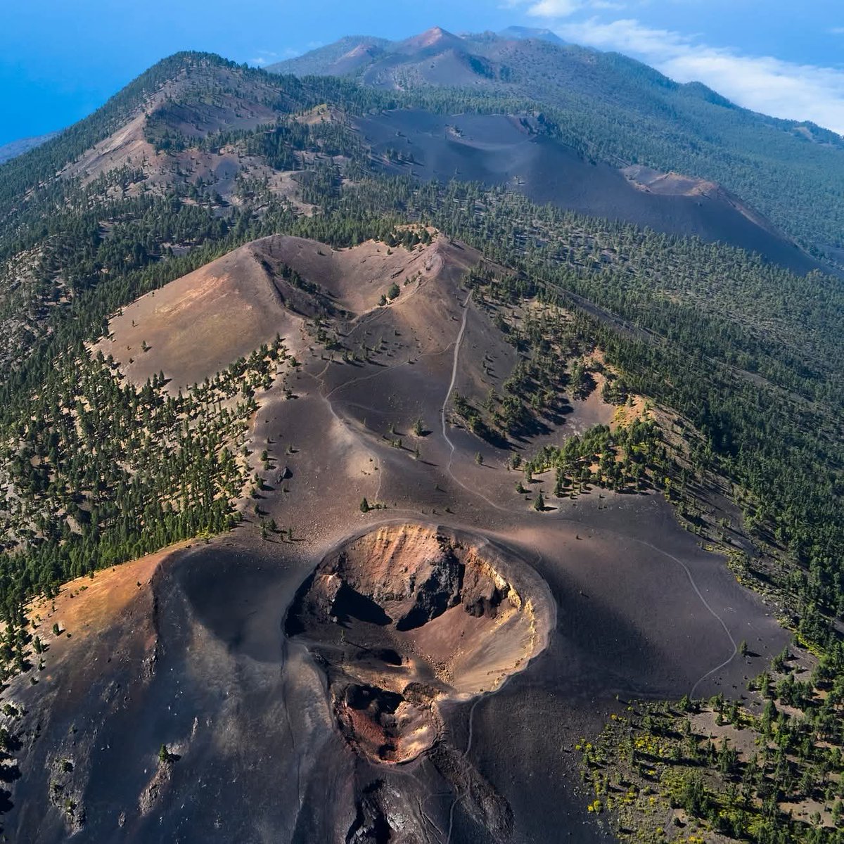 CD Mensajero Baloncesto tweet media