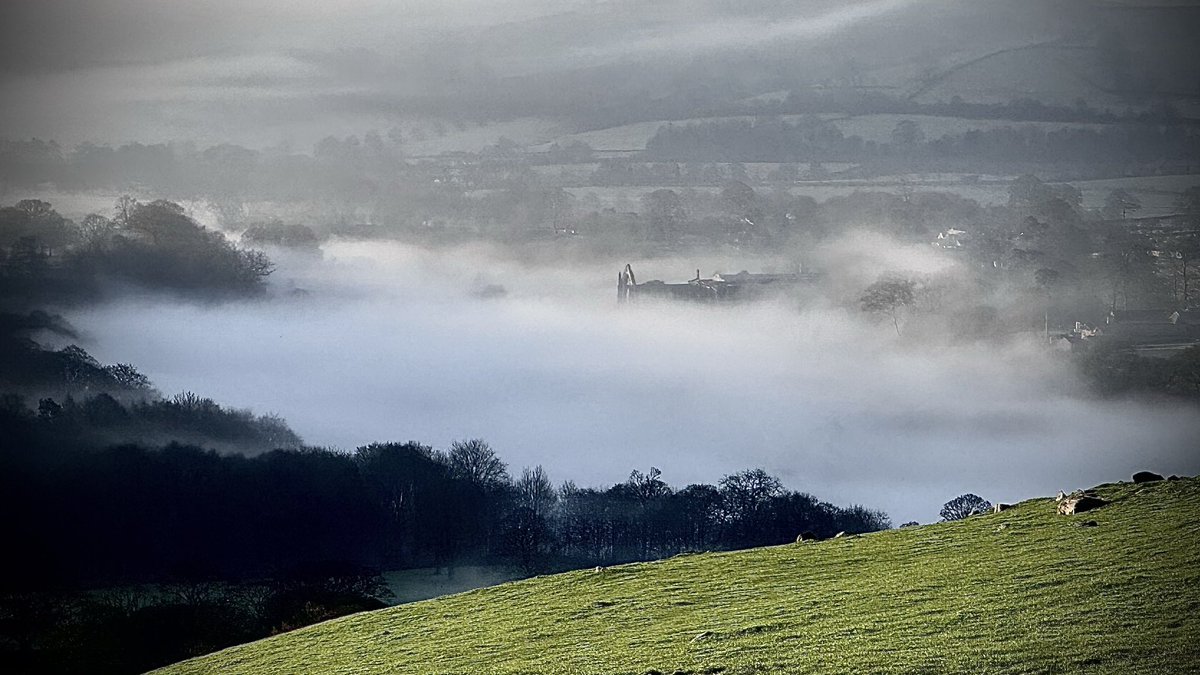 The #OffGrid Gardener tweet media