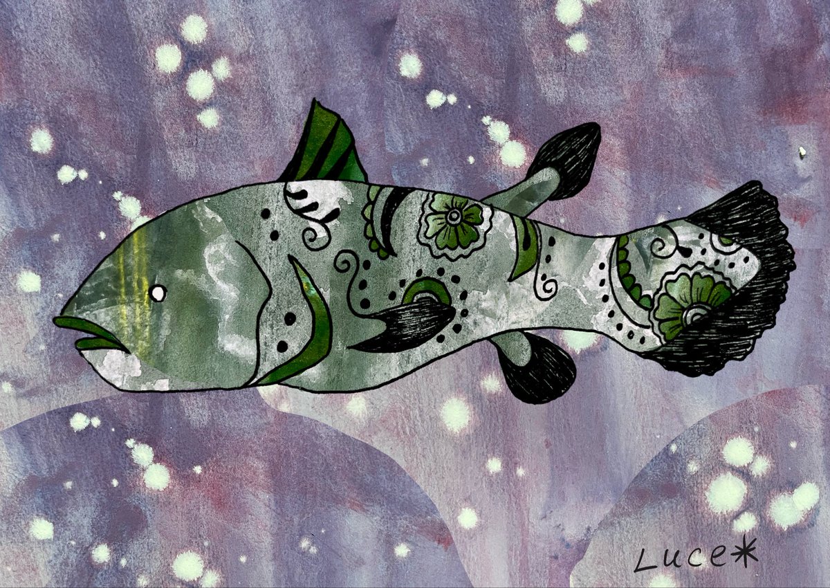 Luce✴︎ルーチェ (@9oX7cEfH3jvh4az) / Posts / X