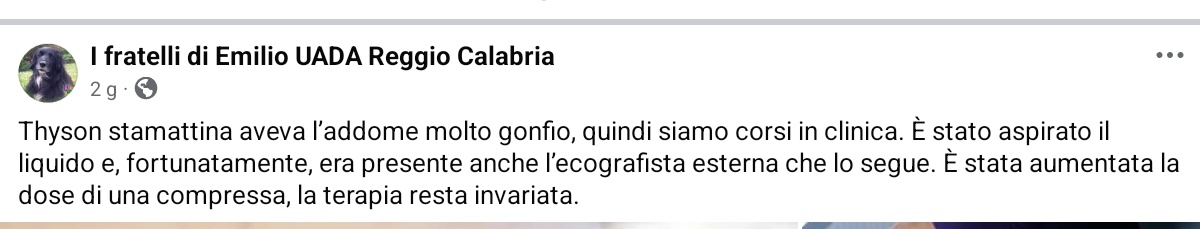 unonlus's tweet photo. #Thyson ringrazia di cuore tutti coloro che gli stanno dando una mano ❤️.
Chi vuole continuare ad aiutarlo può farlo qui:
👉 https://t.co/yTHVzbFnlQ
#cercafamiglia
Per info: 3455855216 (se non risponde mandate un messaggio) https://t.co/EHzESGUbGi