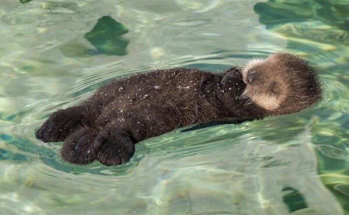 それん ☾ tweet media