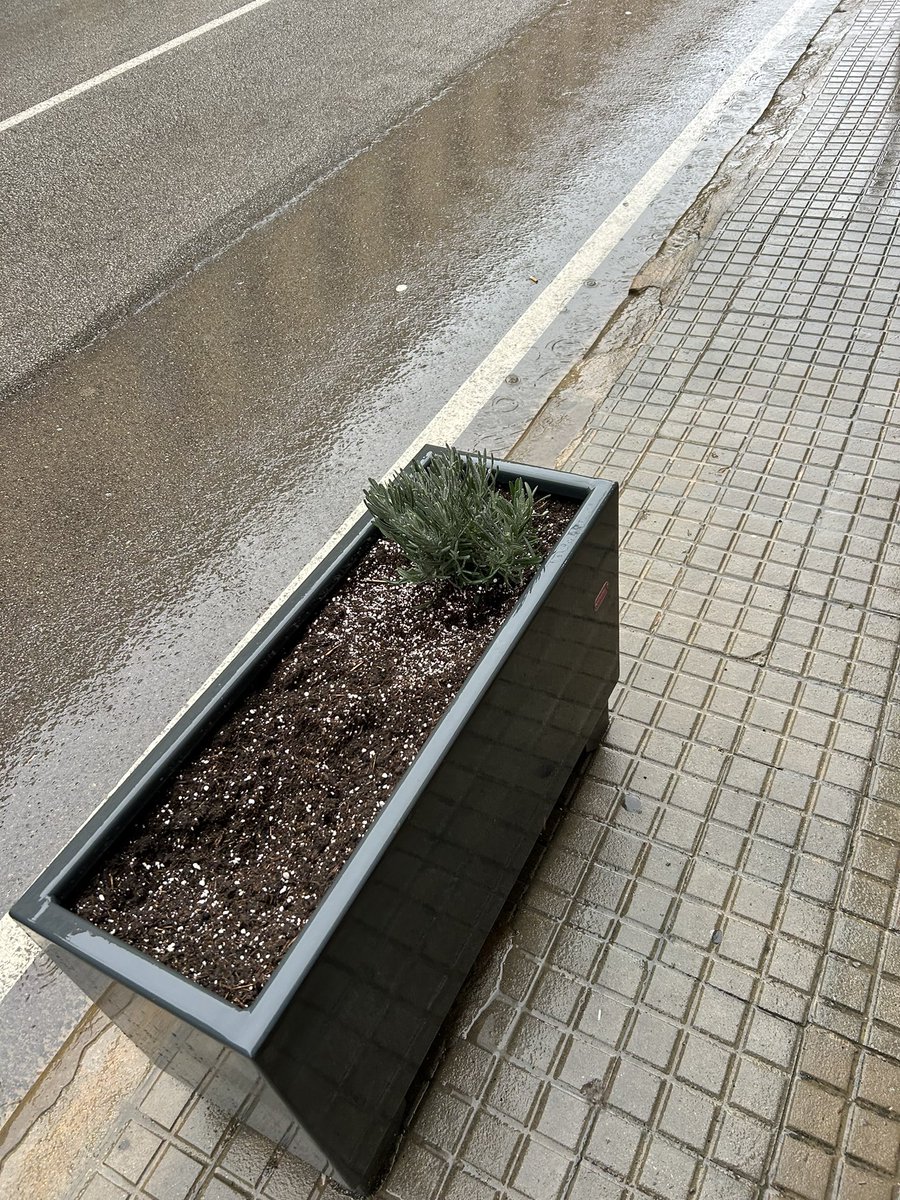 JuntsperCodines's tweet image. Ni dos dies han durat les noves plantes. Cal mà dura contra les actituds incíviques que ens costen dinees i malmeten el poble!. 

No deixarem que uns pocs facin malbé el que és de tots @AjSFCodines
