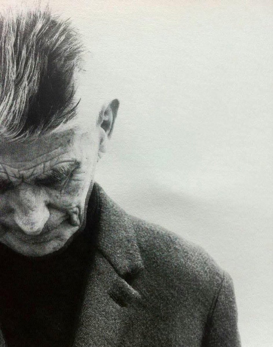 Ina de Bree tweet media