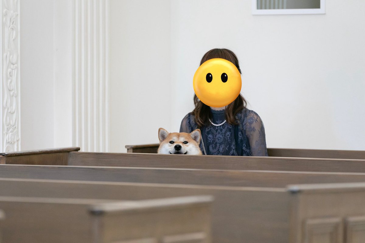 しば犬です。私の汗と涙が染み付いています。 しば犬です。私の汗と涙が染み付いています。