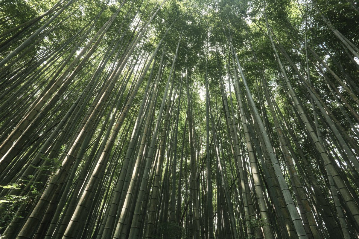 shukei122's tweet photo. 人生初の佐賀。
武雄という町の雰囲気がとても良かった。

📸LUMIX S9 + S-R1840 https://t.co/vFsPoOOMts