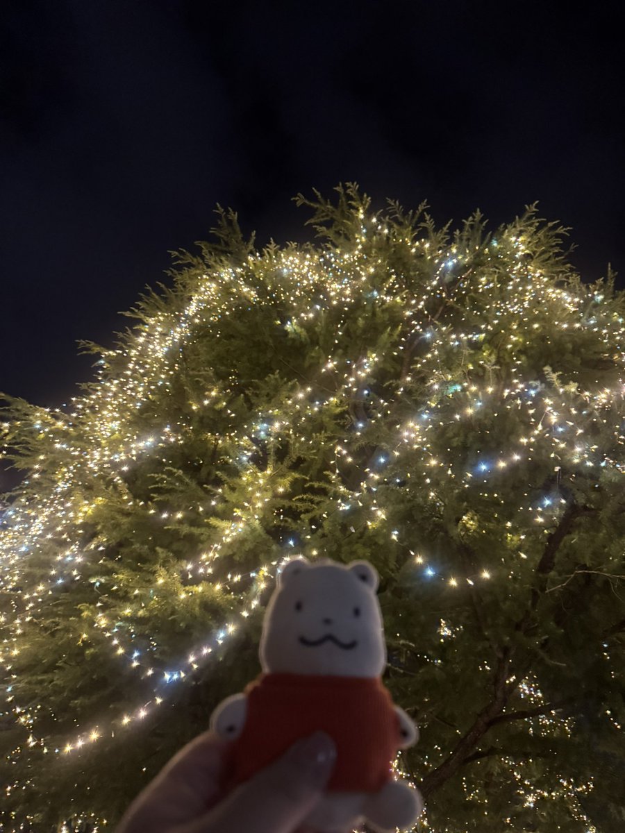 神戸大学のクリスマスツリーをふわふわのくまさんと観てきたよ