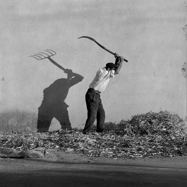Frances52779614's tweet photo. C'è un tempo,un silenzio di cera,
prima che l'ombra divori la luce,
quando l'attesa non è ancora vera,
e l'anima scarnifica la scorza del pianto,
il seme al suo riposo, eterno,
sopra l'oblio, prima del nome.

#UnPoeticoSentire
Nomina prima (Clessidra)

#photo Francesc Català-Roca https://t.co/oYPqTzG0H2