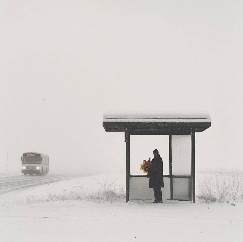 Ülkü Merve Yadigar tweet media