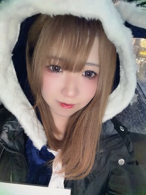 池猫 ~池袋の猫たち~のツイート