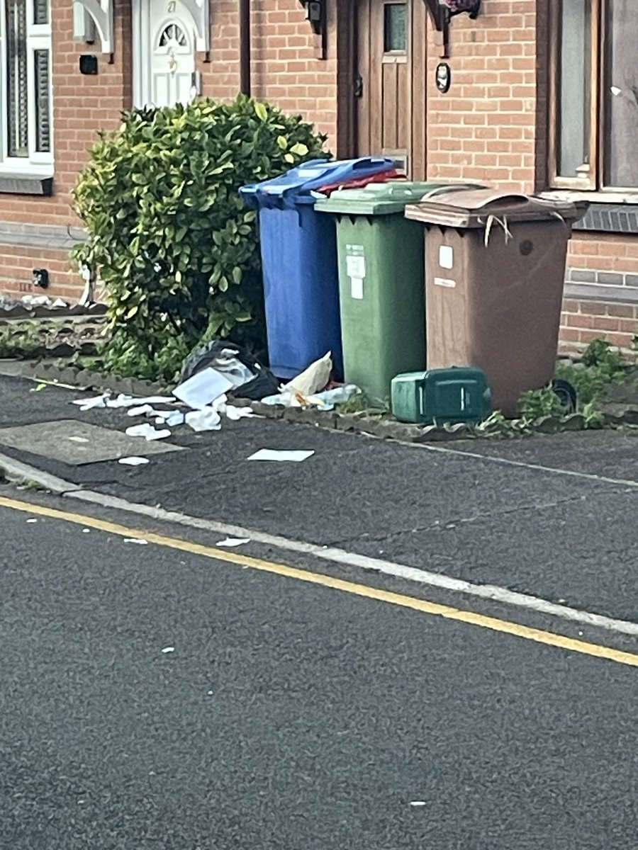 Tag Along Holly tweet media