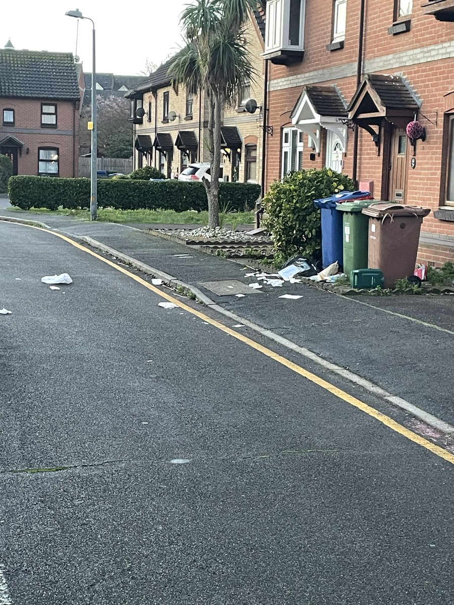 Tag Along Holly tweet media