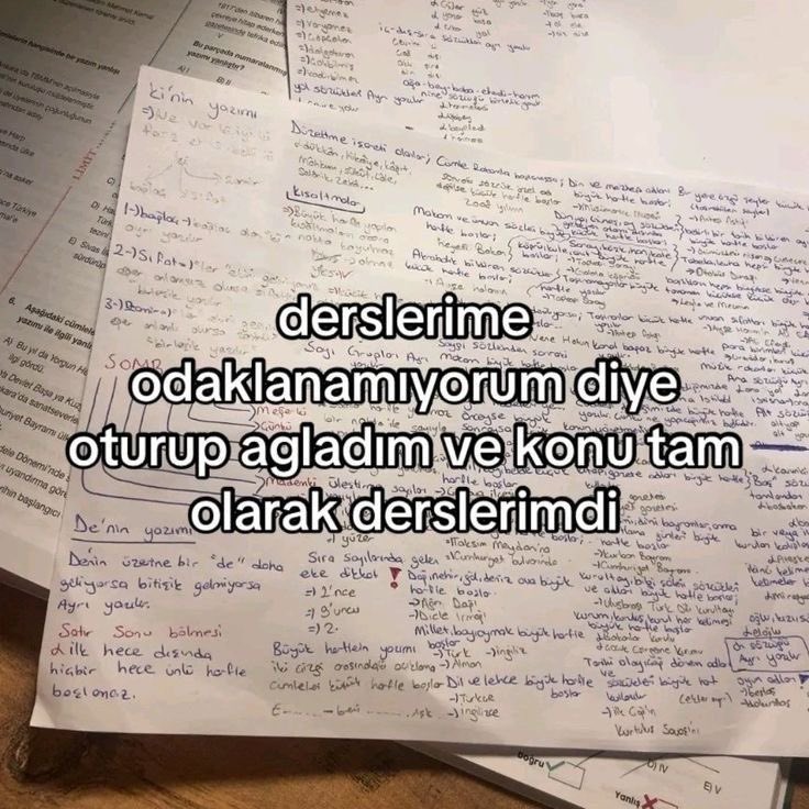 Academic Adventure (@academicadvent3) on Twitter photo 