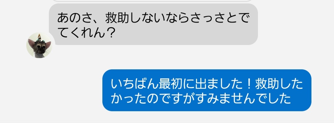 maipuudayoooo's tweet photo. 最近dbdしてたらこんなファンメばっかきて心が削られる、、、

絶対言い返さないけど傷つく！ https://t.co/rFnDxM1ioV