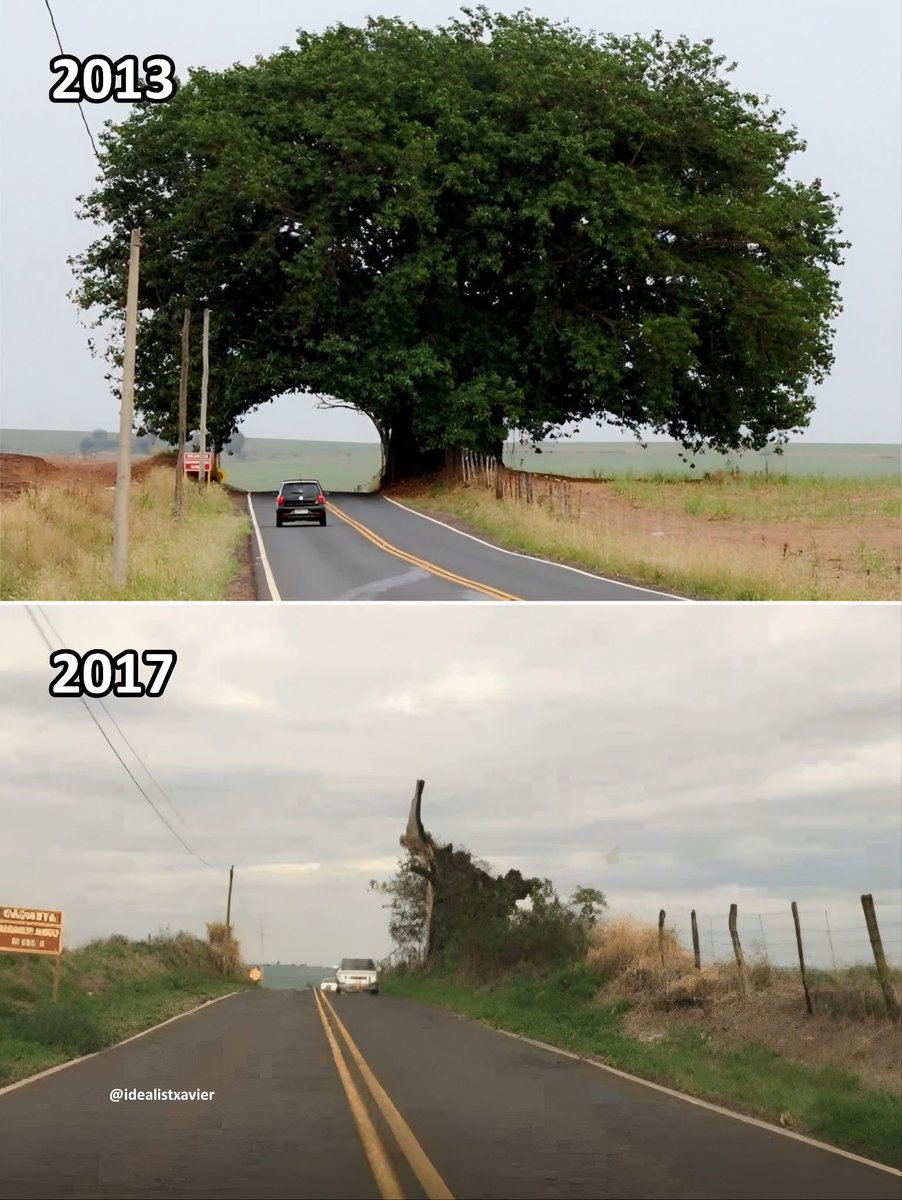 im_mahi0's tweet image. 24 Pictures with Deep Meaning🧵: 

1.