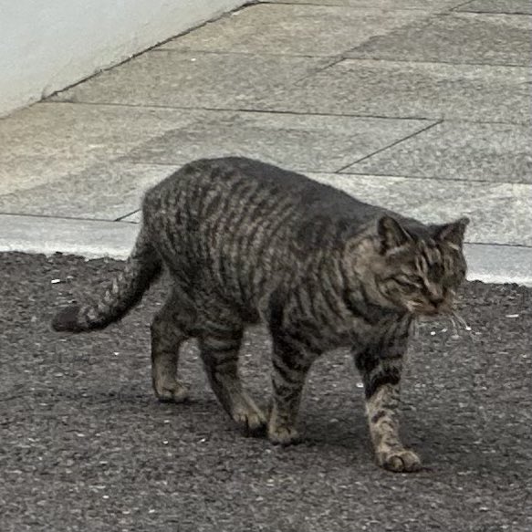 한의원 가는 길에 올고등어 자만추