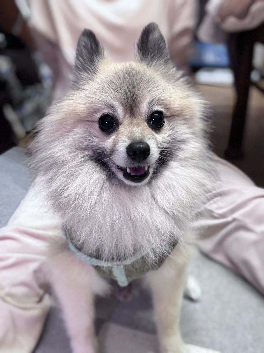 ୨୧┈ 𝚖𝚊𝚚𝚞𝚒𝚊 ┈୨୧ (@maq_ff14) / Posts / X