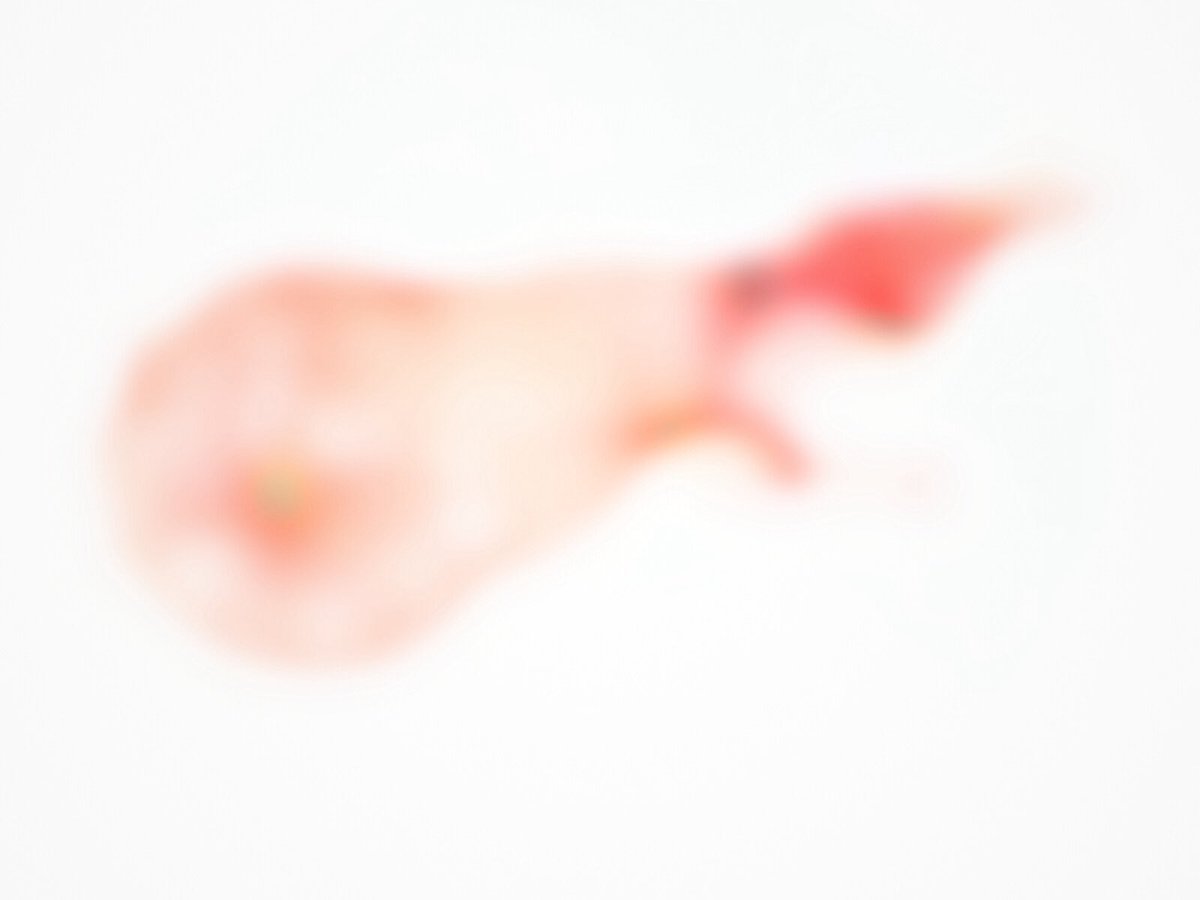 Almost _serious_art_gallery tweet media