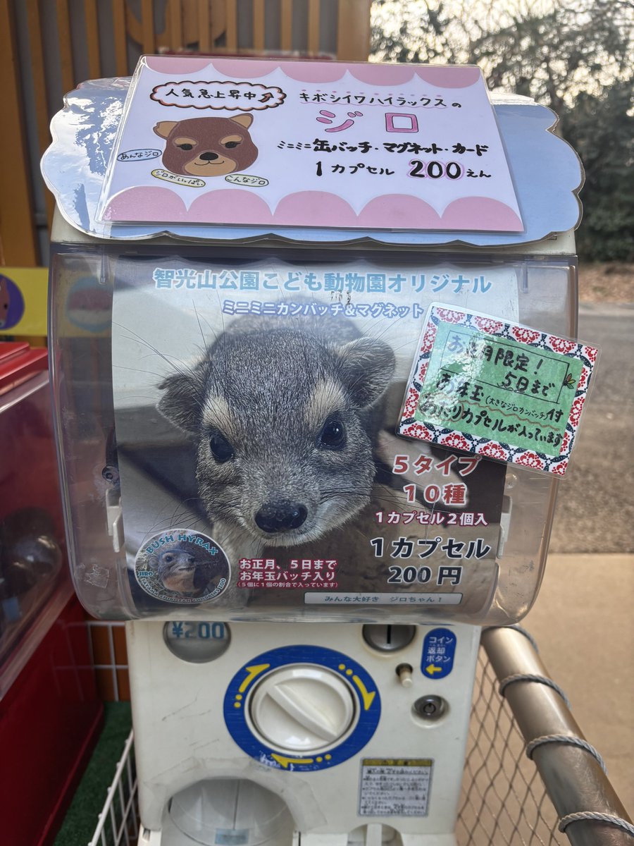 ずんぐりらっくす (@zungurirax) / Posts / X