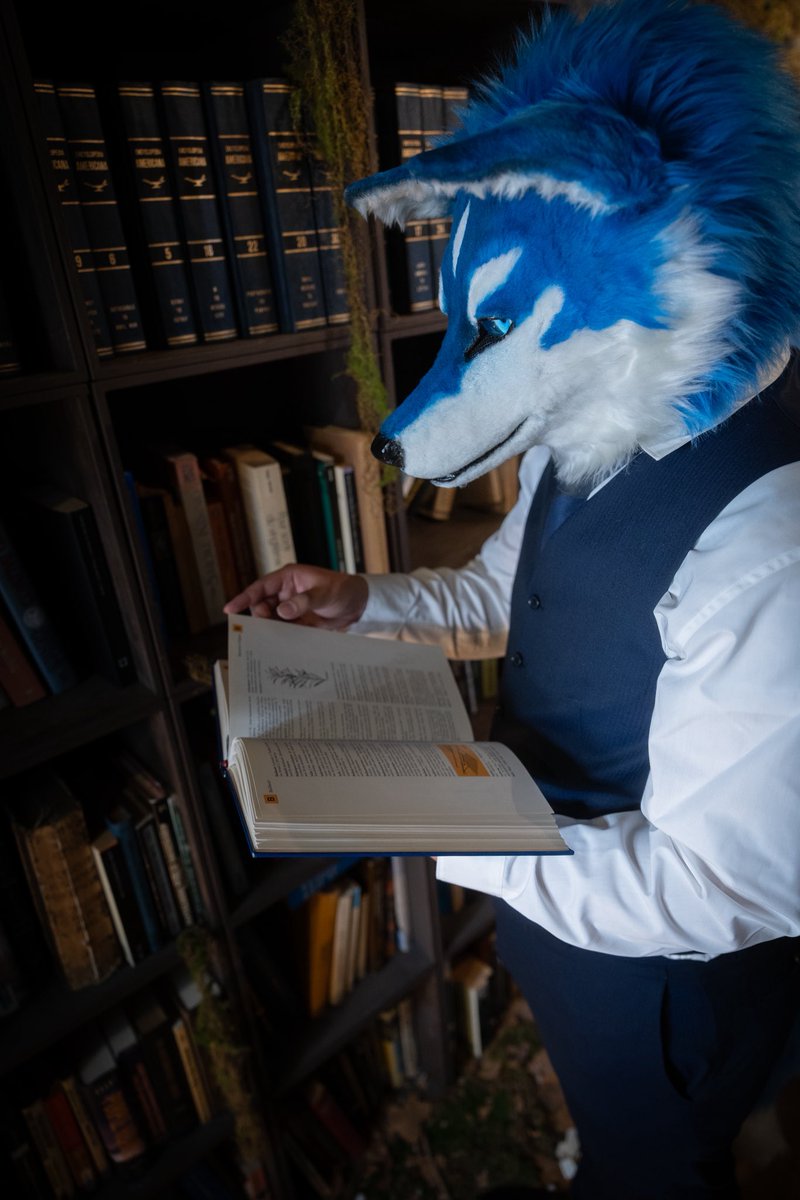 shippo crafts 🦊 シッポクラフツ (@shippocrafts_jp) / Posts / X