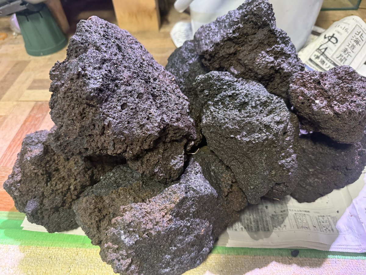 イベント1日目が無事に終わって帰宅。
暖かくて雪がかなり溶けていたので、埋もれていた溶岩石をいくつか掘り出してみた😁
重たくなるからあんまり沢山は使わないようにしたい笑