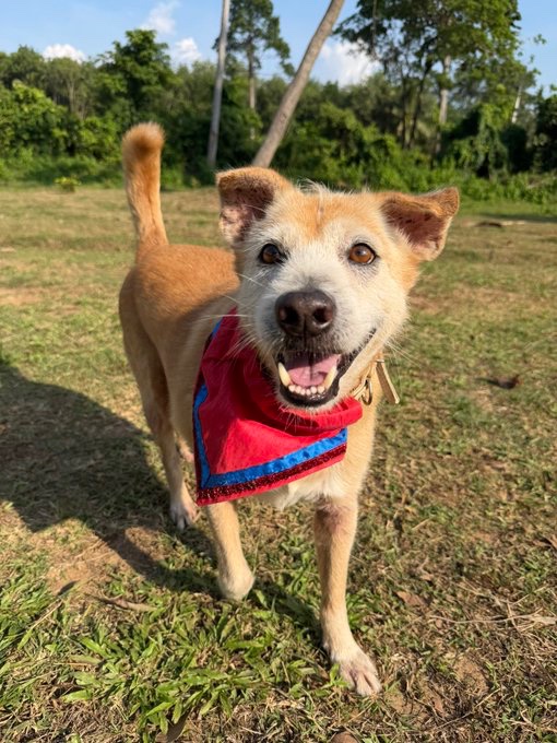 <a href="/NiallHarbison/">Niall Harbison</a> Best Christmas ever… thank you daddy Niall