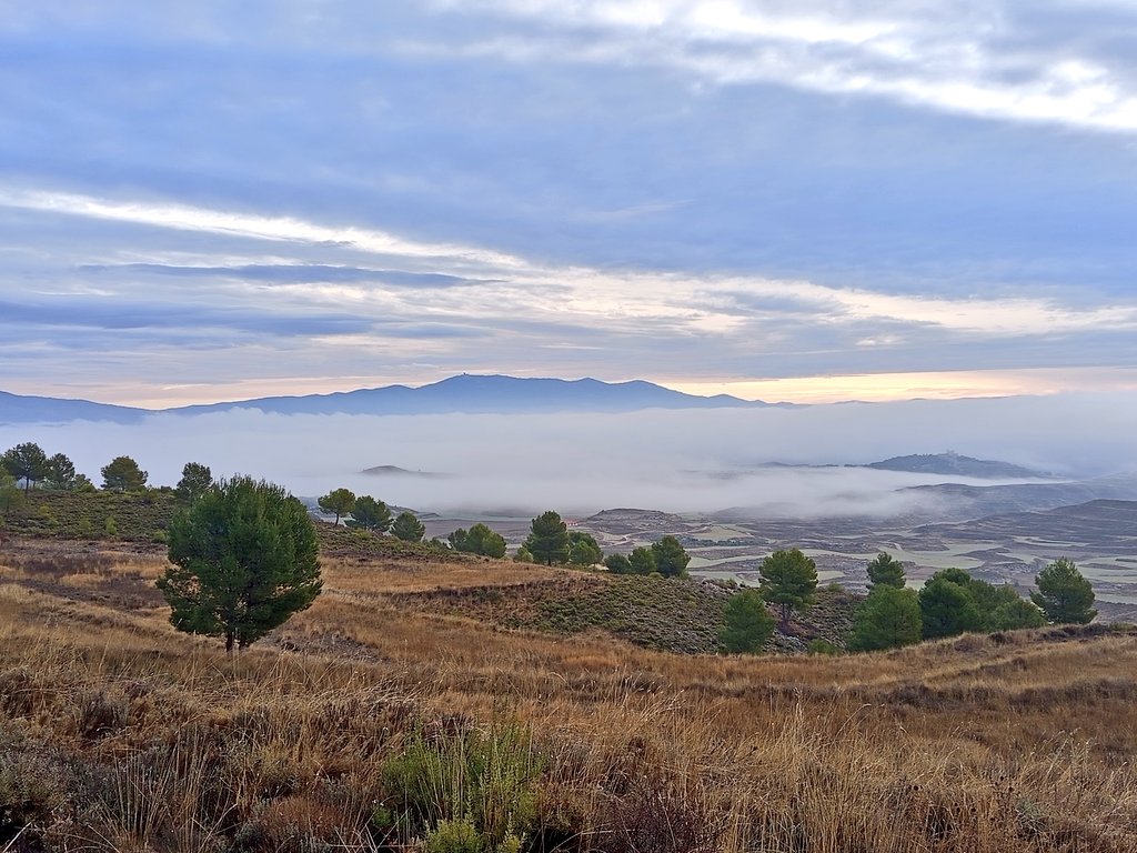 Último día completo del Otoño, de nuevo el amanecer con niebla en la cubeta del Jalón