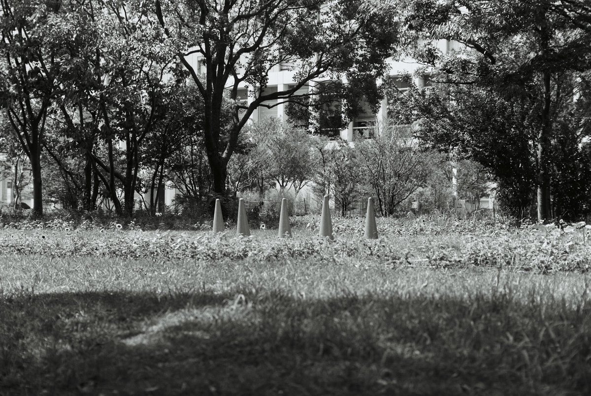 etcaetra's tweet photo. イルフォード・ジャパンさま @IlfordJapan 主催「PANF PLUS チャレンジキャンペーン」にて撮影した写真を紹介します。

現像▶ノワール写真現像所 @noir_filmlab
データ作成 ▶フォトカノン戸越銀座店

#ilford #ilfordjapan #panf #panfchallenge #film  #bnw #blackandwhitephotography #monochrome https://t.co/WthaGICuAx
