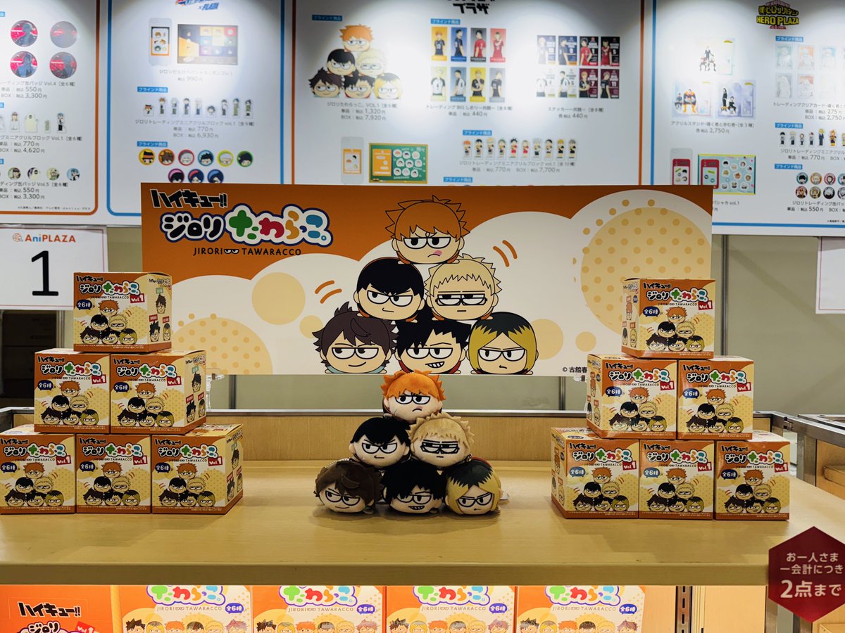 ナツです。(ハイキュープラザの商品) ナツです。(ハイキュープラザの商品) ナツです。(ハイキュープラザの