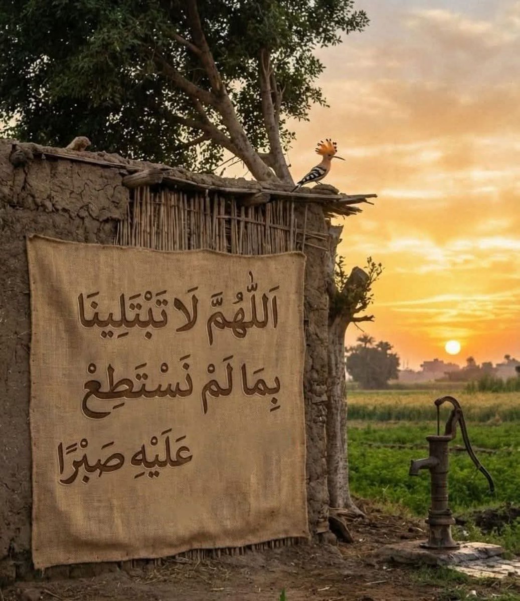 لغة الياسمين (@wweww_22) on Twitter photo 