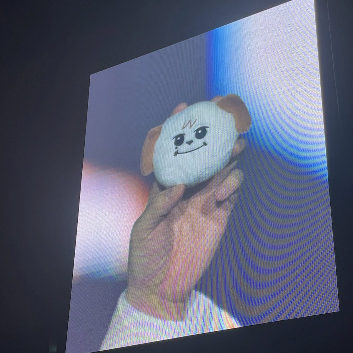 짱이양 tweet media