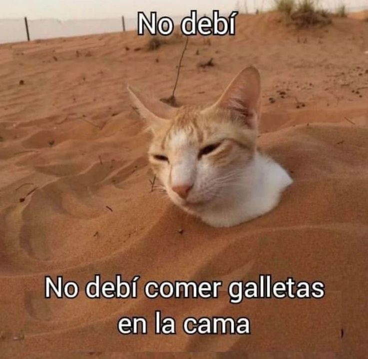 itsD3lay's tweet image. 