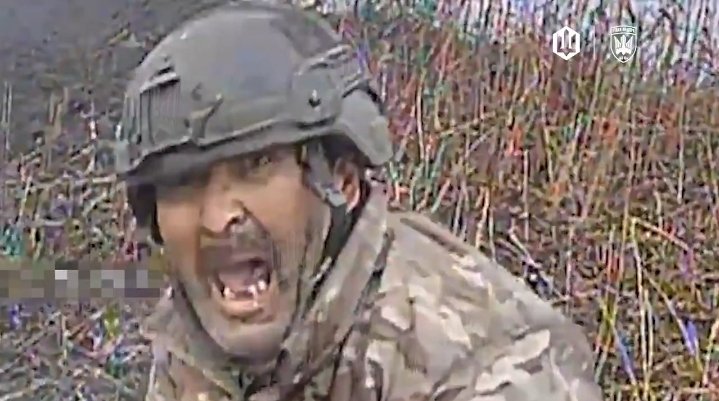 𝖈𝖗𝖎𝖒𝖘𝖔𝖓 𝖍𝖆𝖑𝖔 🍁🇨🇦🍁 tweet media