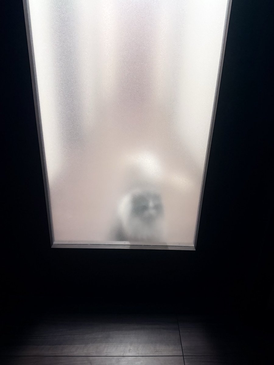 義人 (@uni_syoshi0311) / Posts / X