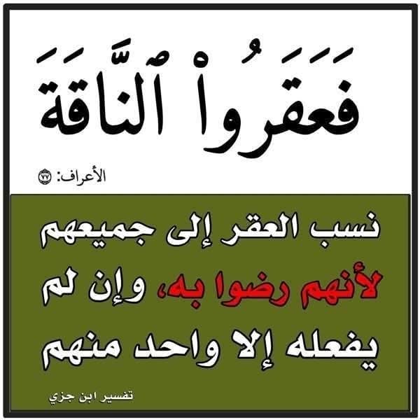 ابو محمود tweet media