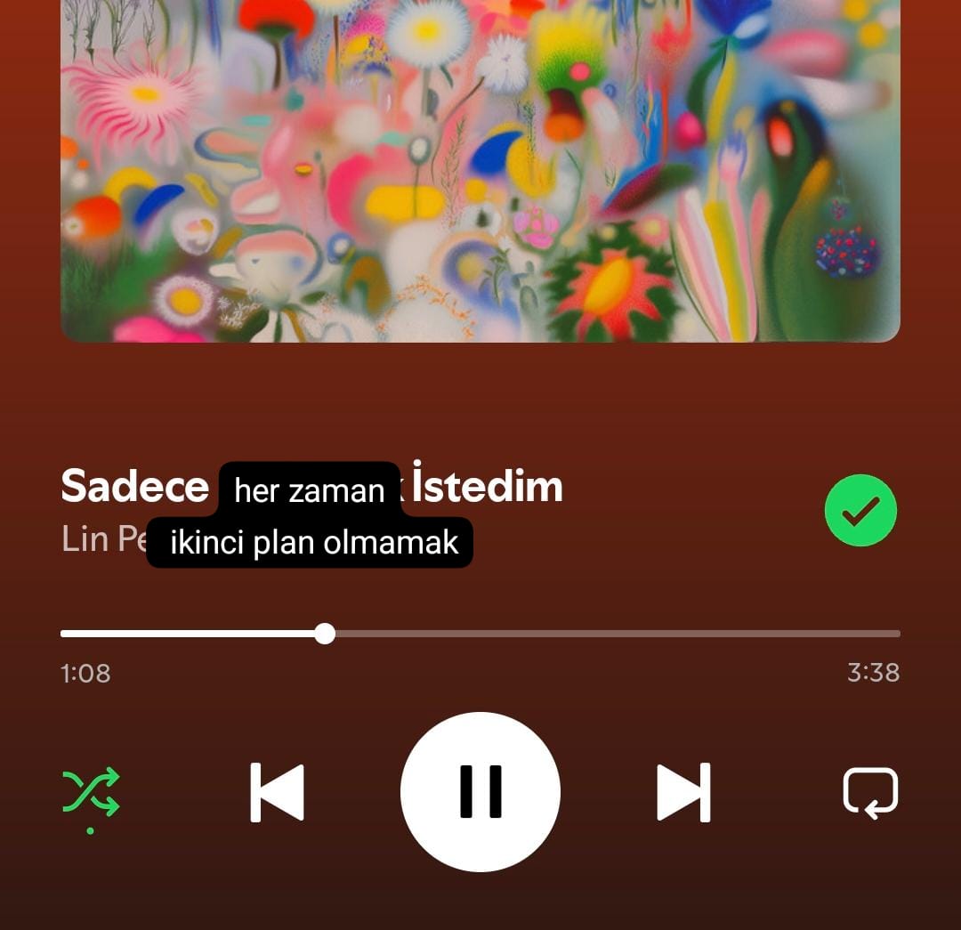 irem (@iogatto13) on Twitter photo 