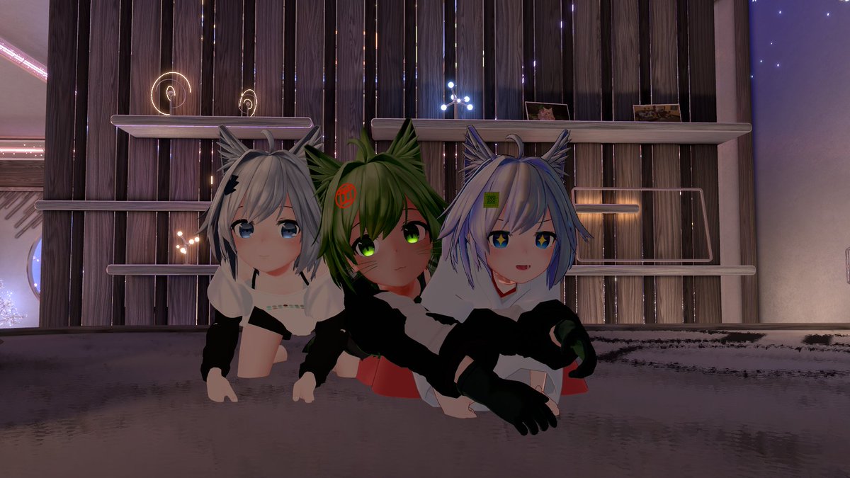 Post by 三毛猫みけ𓃠 on X: 3 mishe