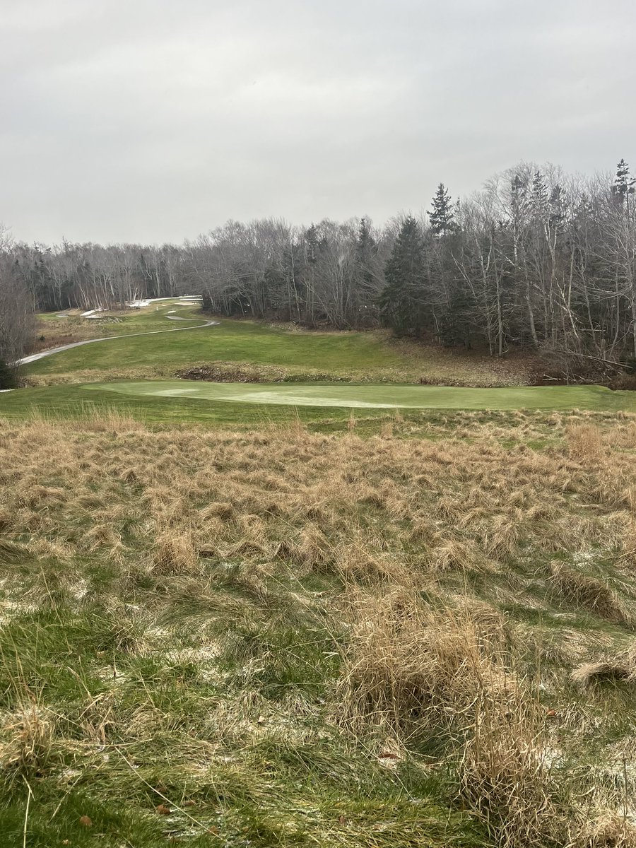 Green Gables Turf Department tweet media