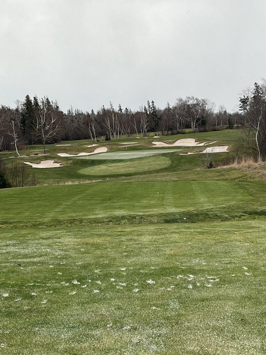 Green Gables Turf Department tweet media