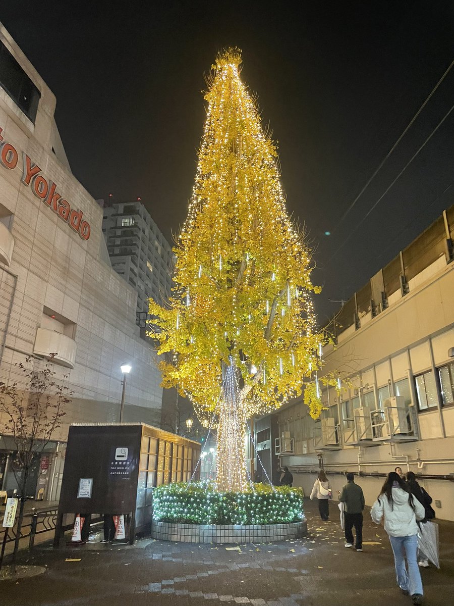 これは最寄りのなんちゃらプラグみたいなイルミ